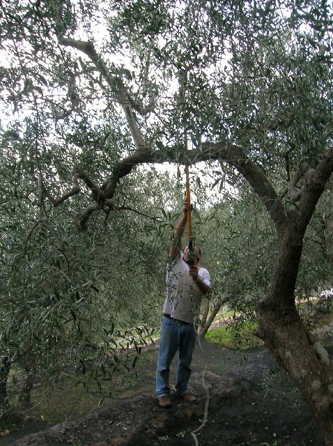 Immagine del territorio